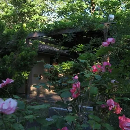 Dom wakacyjny La Truffiere